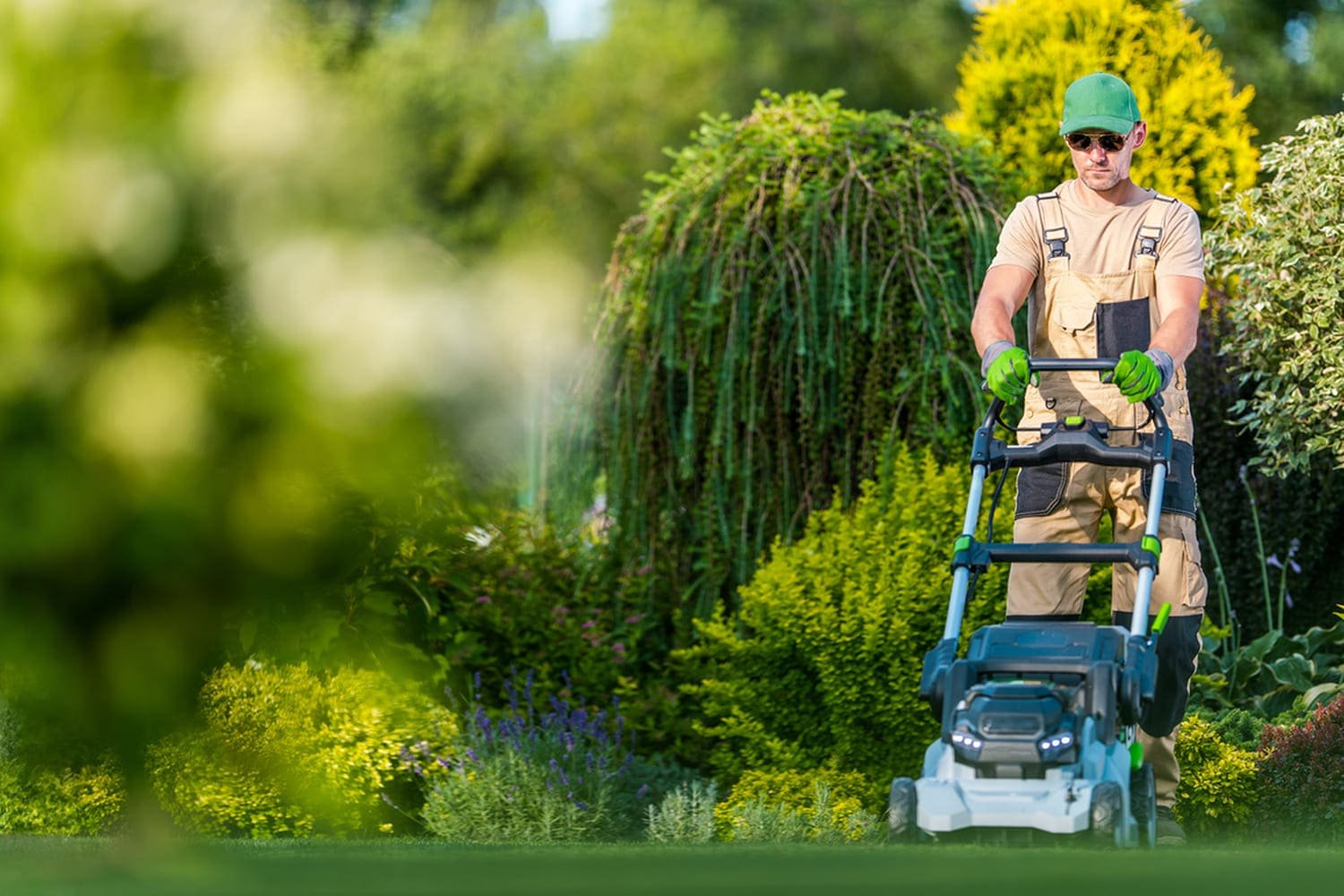 Lawn Care