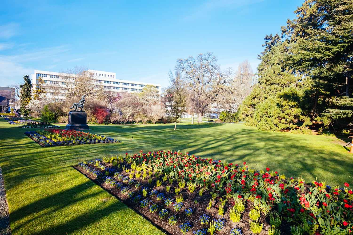 Landscaping Services