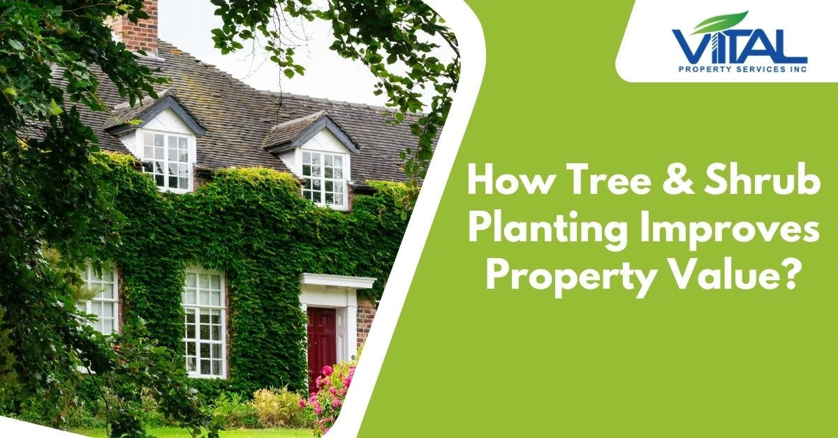 How Tree & Shrub Planting Improves Property Value?