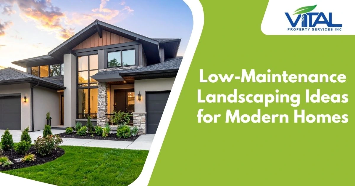 Low-Maintenance Landscaping Ideas for Modern Homes