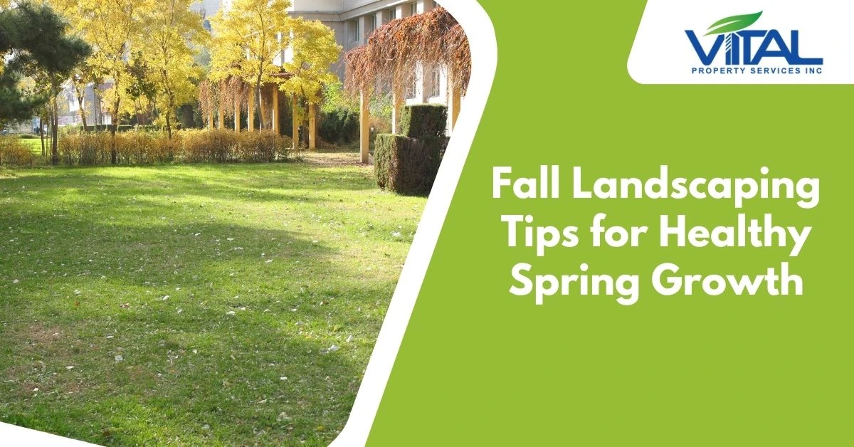 Fall Landscaping Tips for Healthy Spring Growth