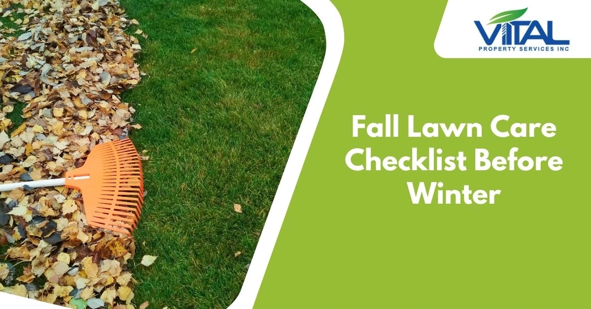 Fall Lawn Care Checklist Before Winter