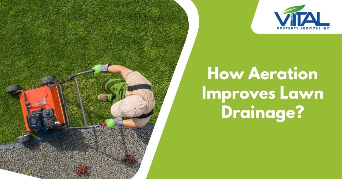 How Aeration Improves Lawn Drainage?