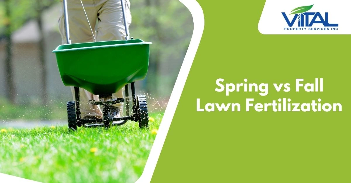 Spring vs Fall Lawn Fertilization